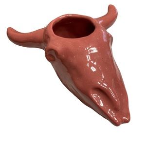 Steer Skull Planter Mexico